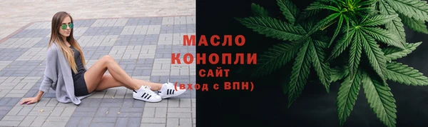 мет Ладушкин