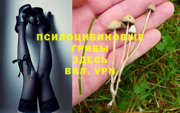 мет Ладушкин