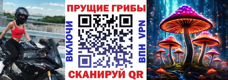 Галлюциногенные грибы Cubensis  Эртиль 